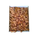 Chora Dates 1