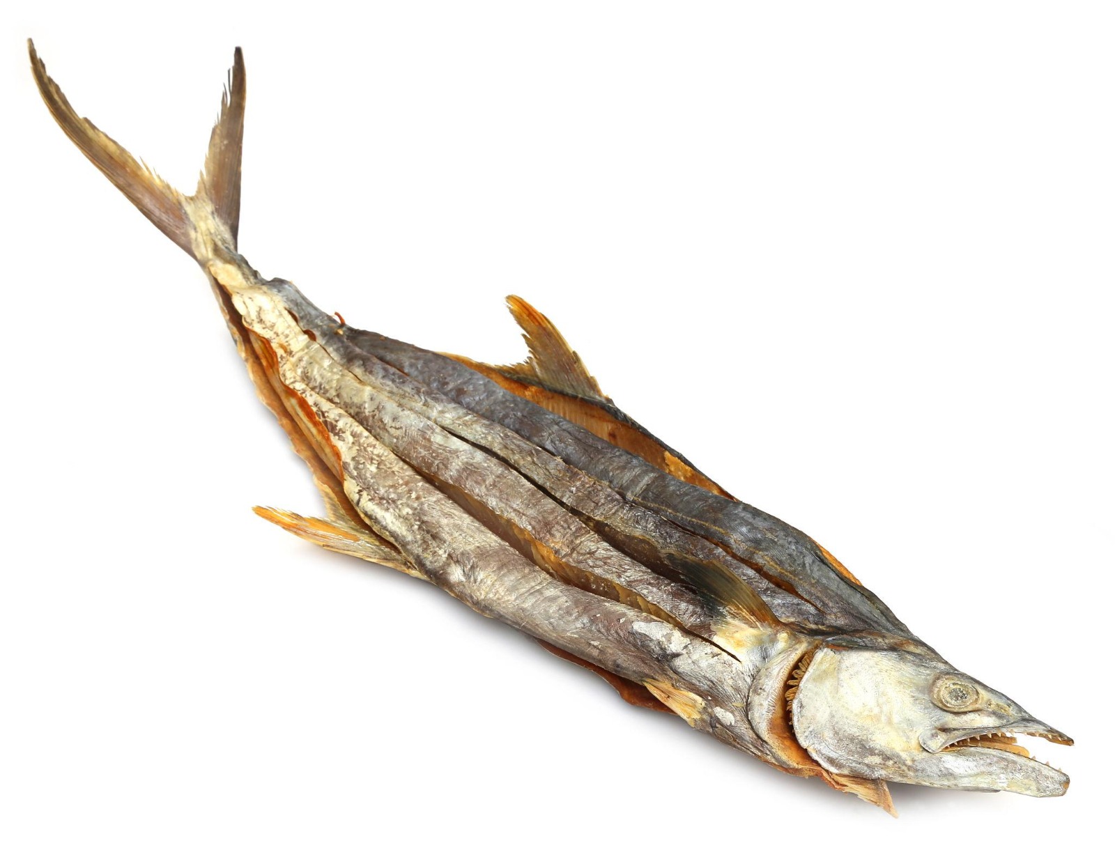 Salmon Dry Fish Premium[Full]