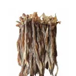 Loitta Shutki-(লইট্টা শুঁটকি)-Premium 1
