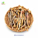স্ট্যান্ডার্ড লইট্টা শুঁটকি 2