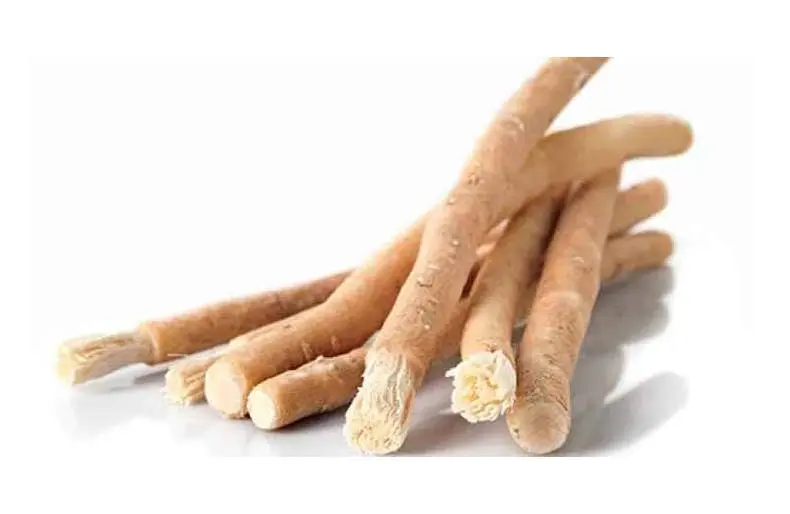 Miswak