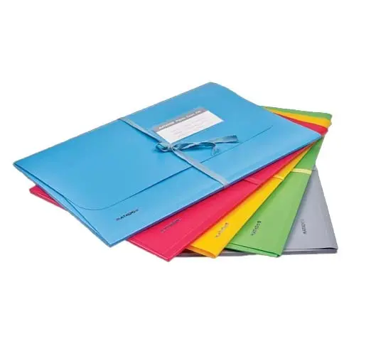 Matador Ribbon Tie Document Folder / Pastel Case File