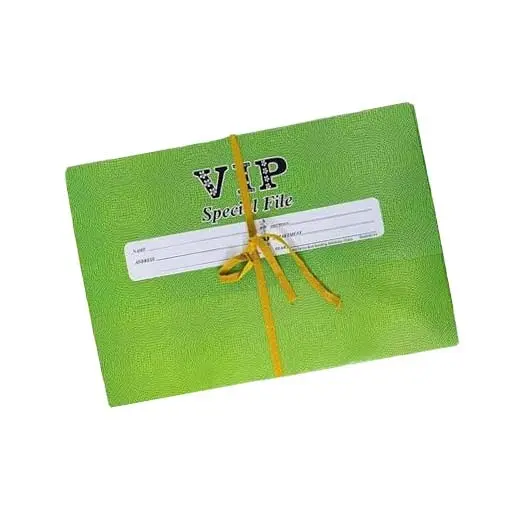 VIP Special Board File / Document Case