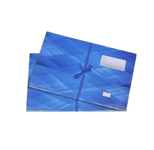 Blue Paper Court / Legal Board File (2 Pcs Combo Pack)