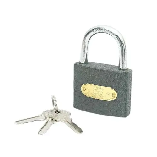 Heavy-Duty Grey Cast Iron Padlock with Keys