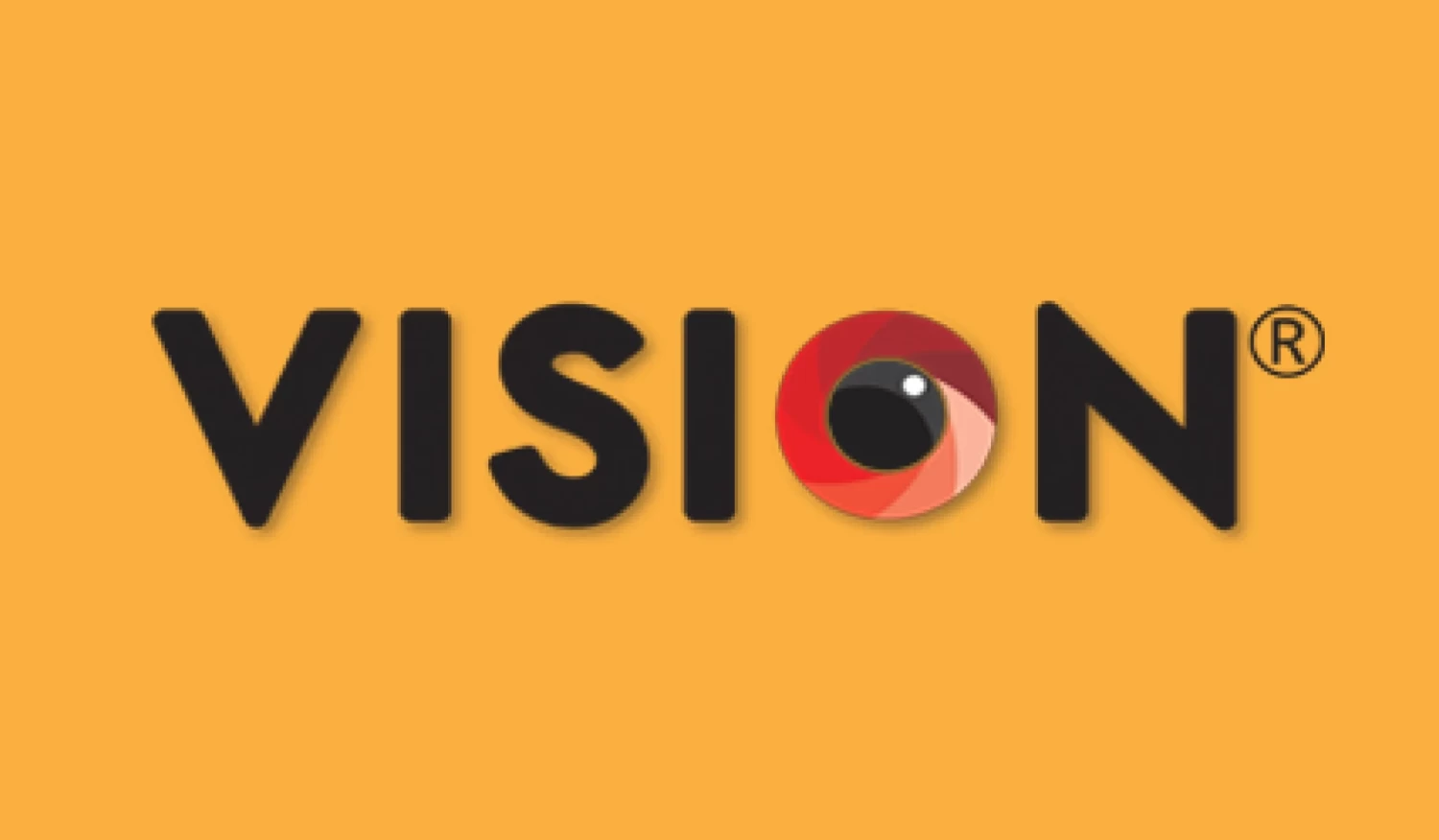 Vision Feni
