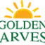 Golden Harvest