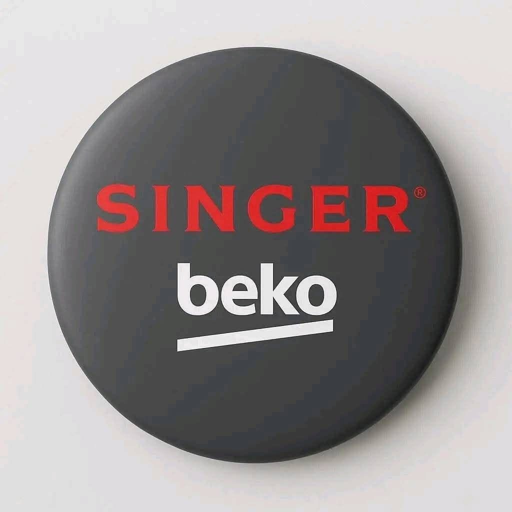 Singer Feni